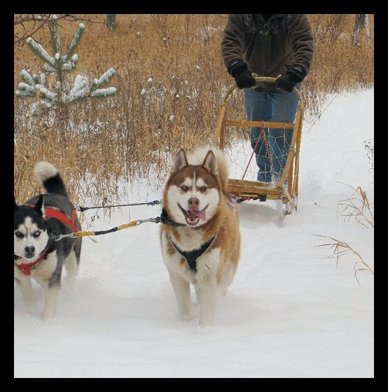 big-boy-truman-and-dakota-hittin-the-trails3.jpg