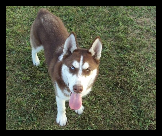 big-boy-truman13.jpg