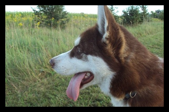 big-boy-truman14.jpg