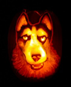 denozzo-pumkin-carving-oct2010.jpg