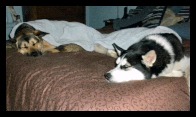 jozie-and-seargent-mitchell-taking-a-nap.jpg