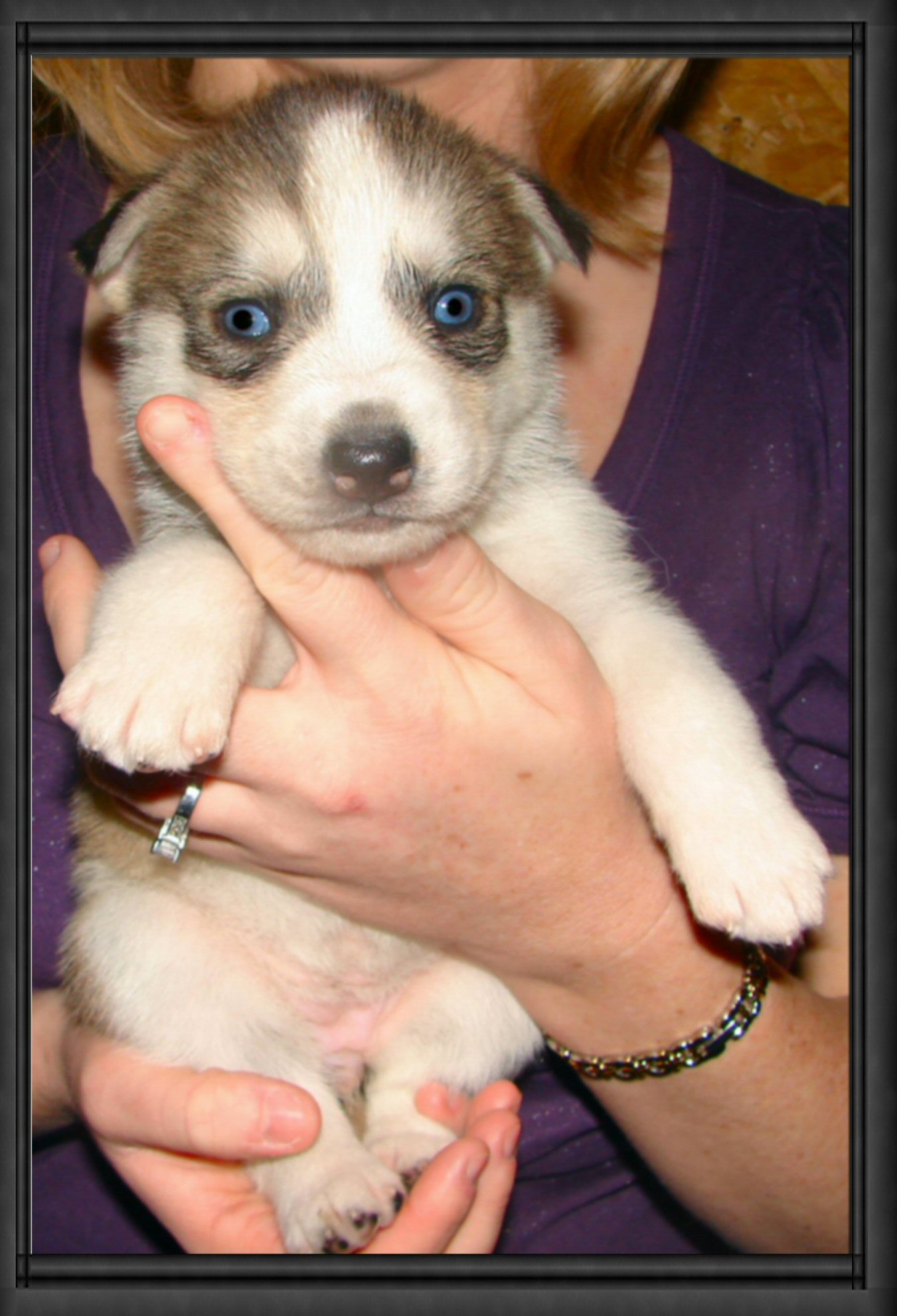 mischeifpup.jpg